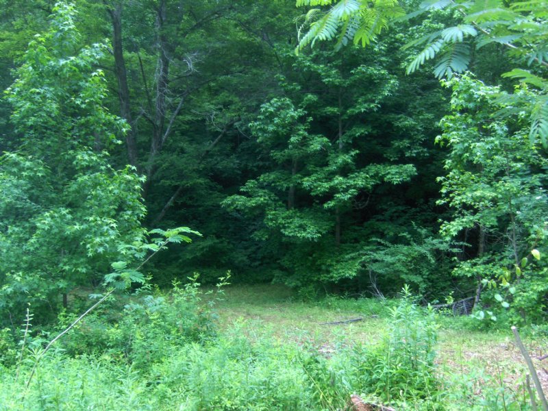 Wagers Mill Tract : Newnan : Coweta County : Georgia