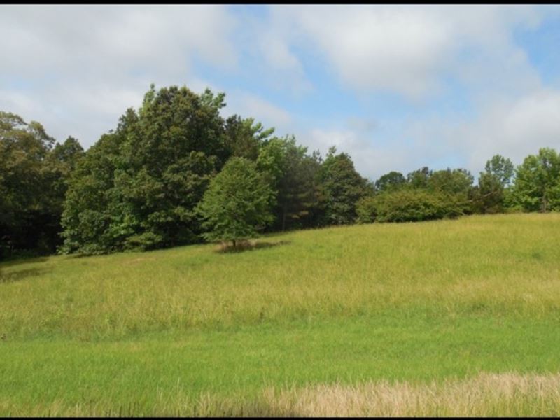 281 Acres in Yalobusha County in Oa : Oakland : Yalobusha County : Mississippi