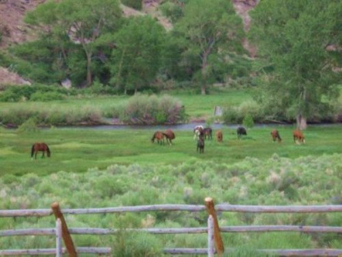 Los Pinos River Ranch : San Miguel : Rio Arriba County : New Mexico