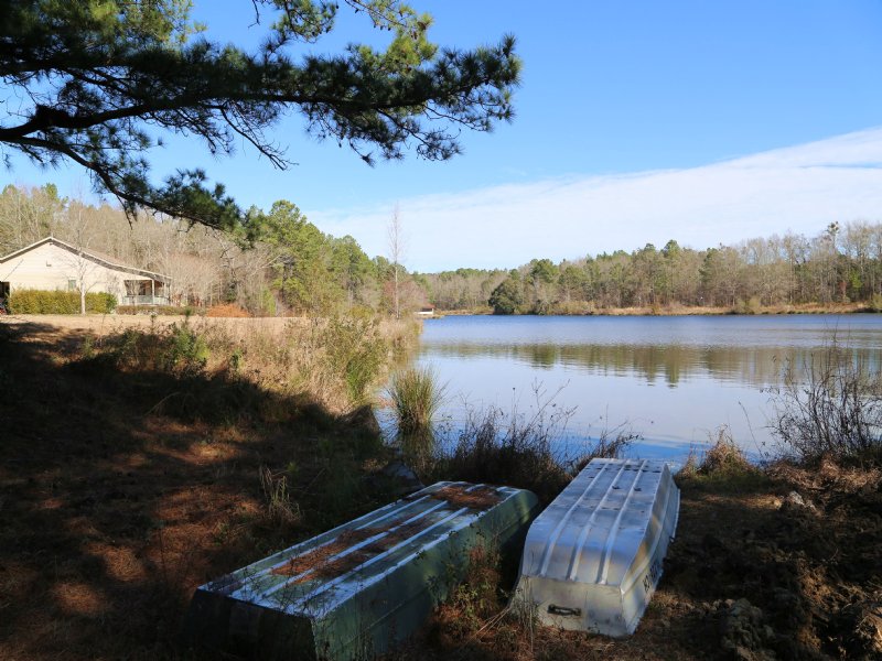 Spring Branch Farm : Cairo : Grady County : Georgia
