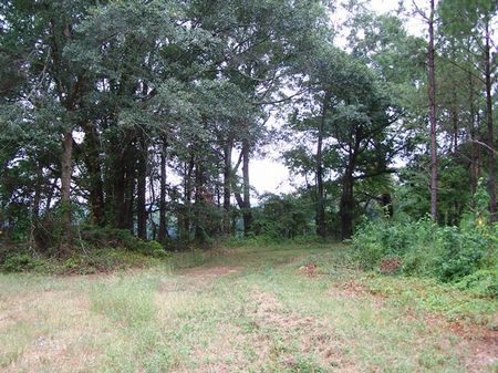 Carroll Investment : Texasville : Henry County : Alabama