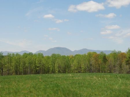 In The Heart Of Horse Country : Landrum : Spartanburg County : South Carolina