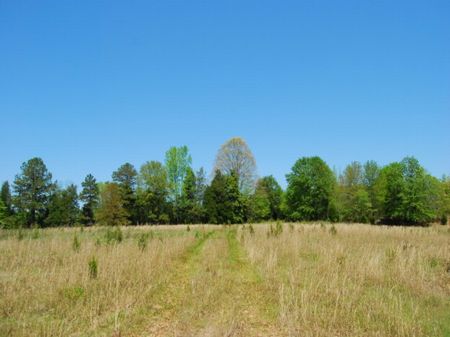 65 Acre Homesite Overlooking River : Woodruff : Spartanburg County : South Carolina