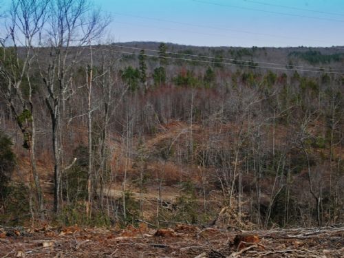 30 Acre Timber Tract : Blacksburg : Cherokee County : South Carolina