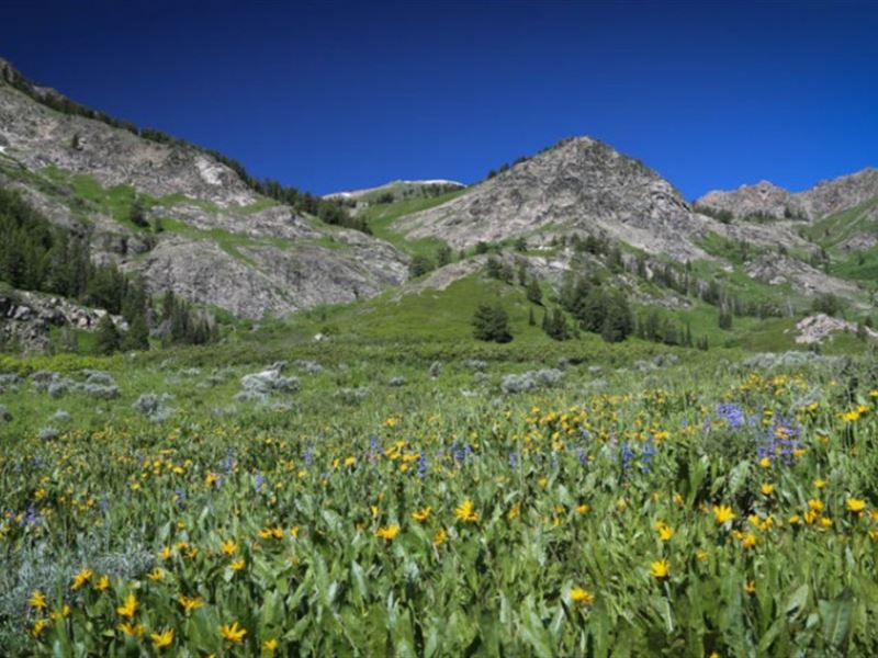 Wasatch Peaks Ranch, Ranch for Sale in Utah, 94408 RANCHFLIP