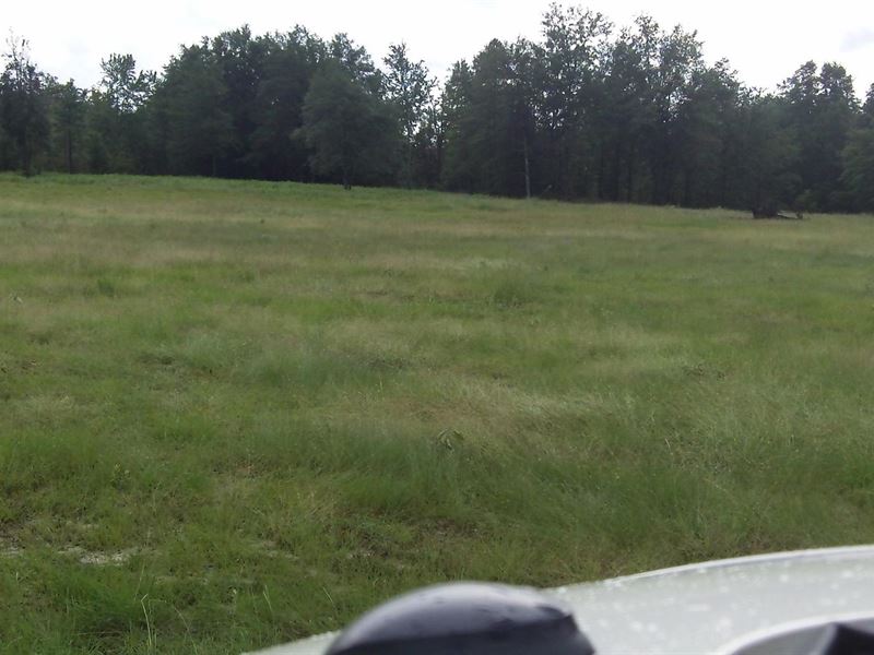 Fairfield Farms, 10.41 Acre Lot : Shelbyville : Bedford County : Tennessee