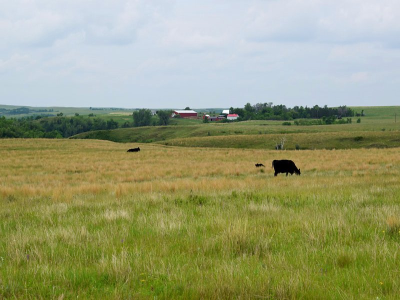 Hartman Ranch : Grassy Butte : McKenzie County : North Dakota