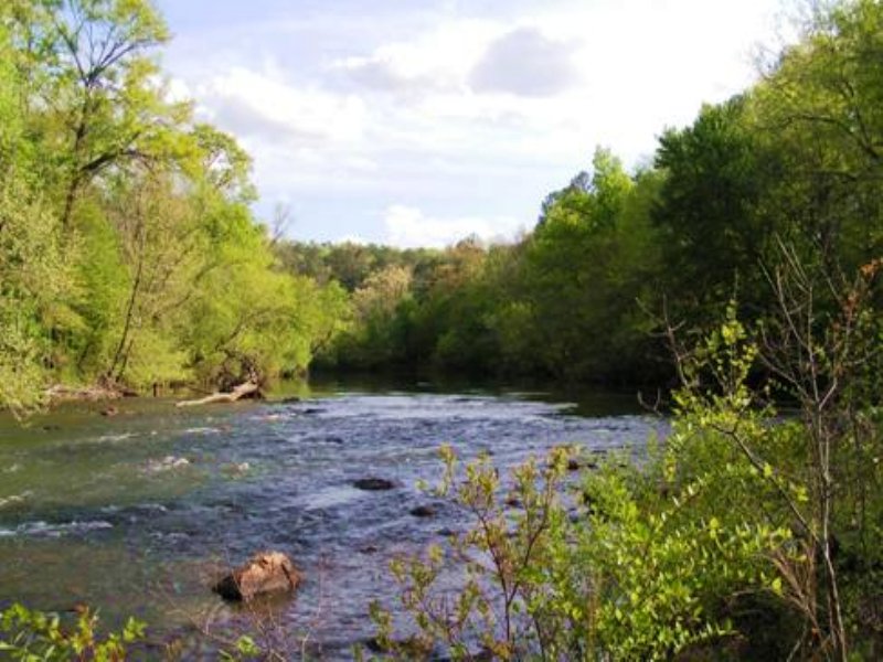 Frog Mountain Property : Piedmont : Cherokee County : Alabama