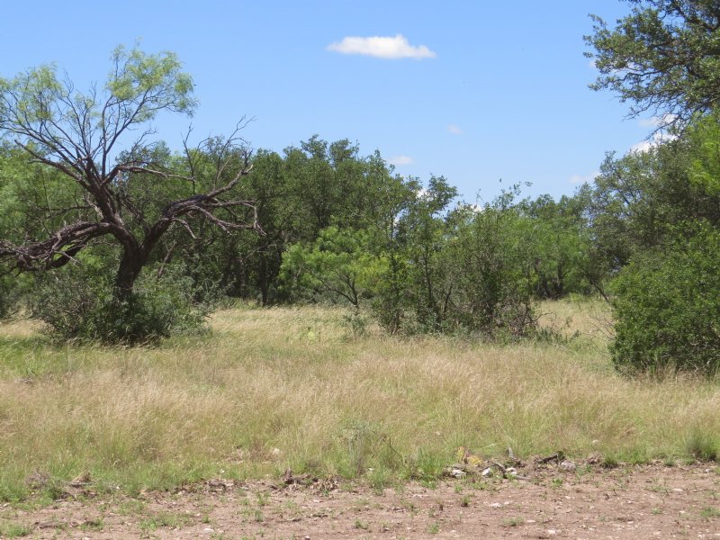 Recreational Hunting Property : Eden : Concho County : Texas