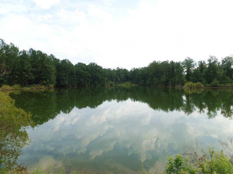 Lake, Creek, House, Timber : Preston : Webster County : Georgia