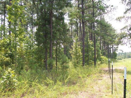 Jordan Tract : Lafayette : Chambers County : Alabama