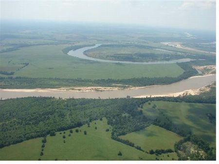 Woodland Ranch : Bagwell : Red River County : Texas