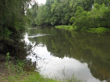 374 Acres On The Ogeechee River : Rocky Ford : Jenkins County : Georgia