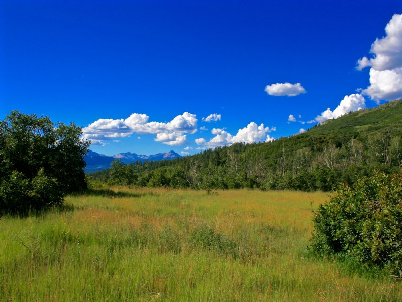 Red Tail Mountain Ranch Lot 18 : Durango : La Plata County : Colorado