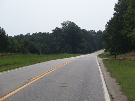 212 Ac Turn-key Showplace-timber : Americus : Sumter County : Georgia