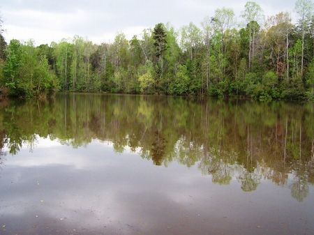 Sofkee Creek Farm : Cairo : Grady County : Georgia