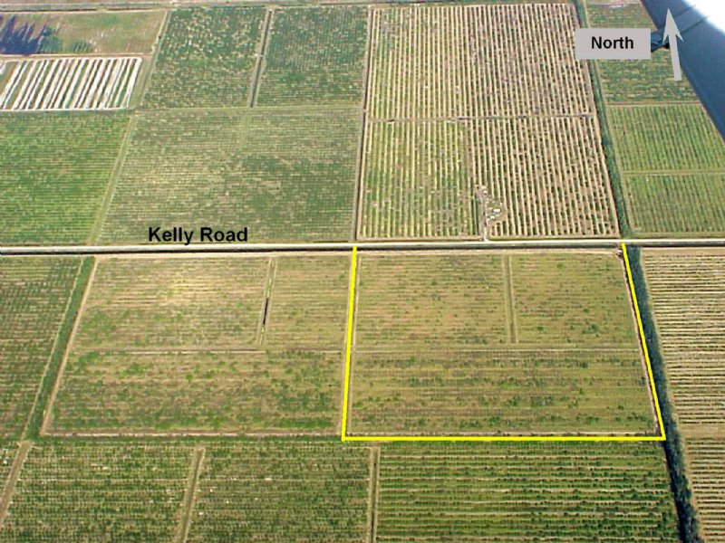 39Ac Agricultural Or Homesite Tract : Fort Pierce : Saint Lucie County : Florida