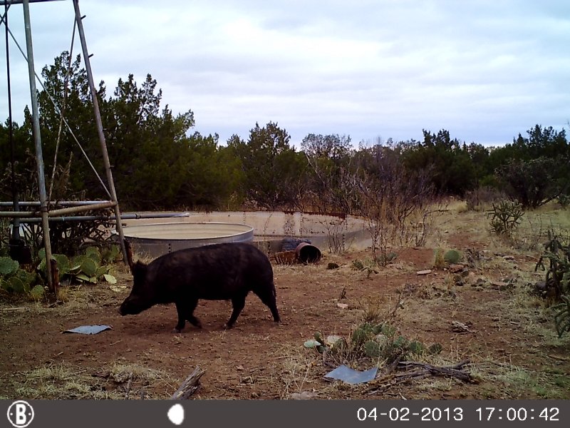 Maad Ranch At Trementina Nm : Trementina : San Miguel County : New Mexico