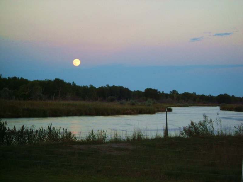 Moon River Ranch : North Platte : Lincoln County : Nebraska