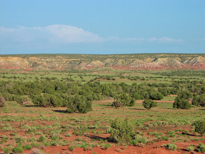 37 Acre Northern Az Ranch : Saint Johns : Apache County : Arizona