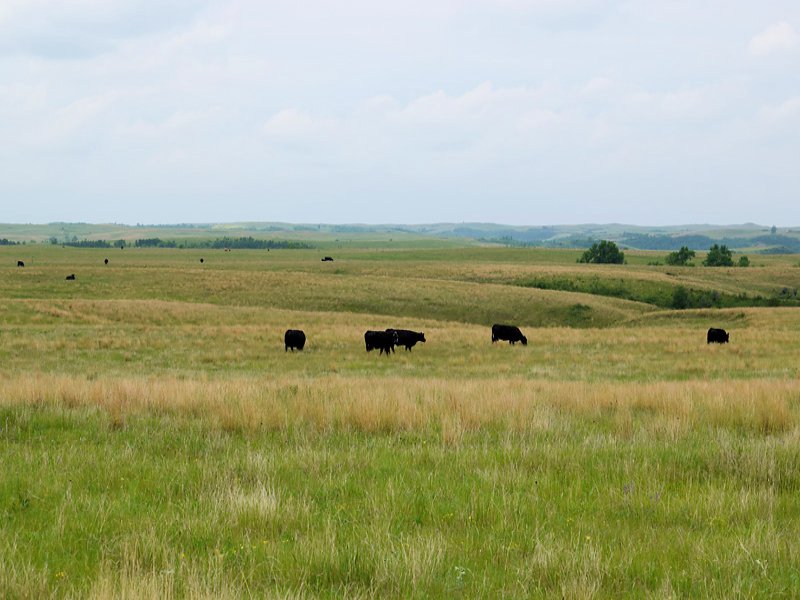 R J Ranch : Grassy Butte : McKenzie County : North Dakota