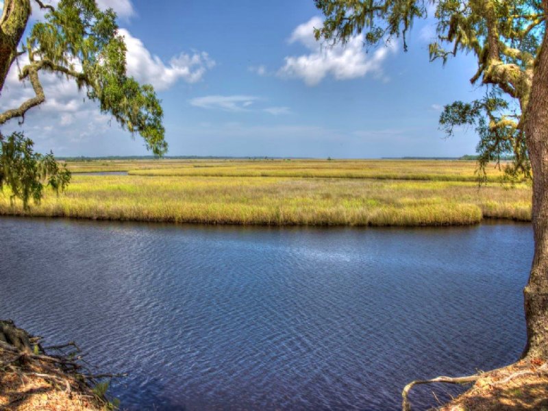 Bluffs Of St, Teresa : Panacea : Franklin County : Florida
