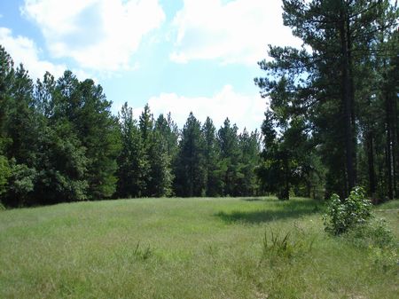 Anderson Mill Tract : Tignall : Wilkes County : Georgia