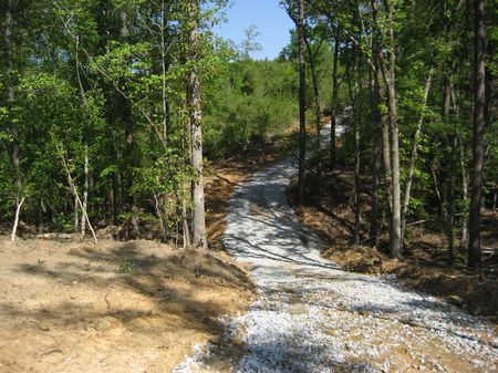 Gorgeous Hunting Tract : Winnsboro : Fairfield County : South Carolina