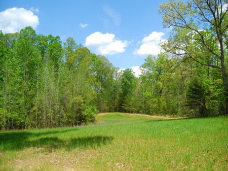 154 Acre Recreational Tract : Pauline : Spartanburg County : South Carolina