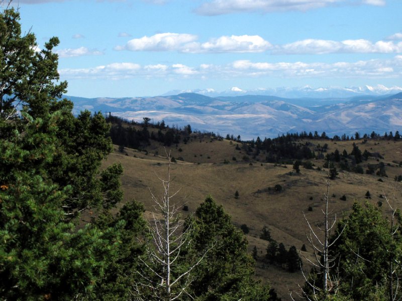 52 Acres Surrounded By Public Land : Townsend : Broadwater County : Montana