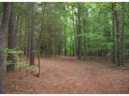 Park-like Land To Build On : Pittsboro : Chatham County : North Carolina