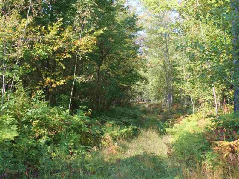 Tbd Jug Rd., Baraga, Mls 1090689 : Baraga : Baraga County : Michigan