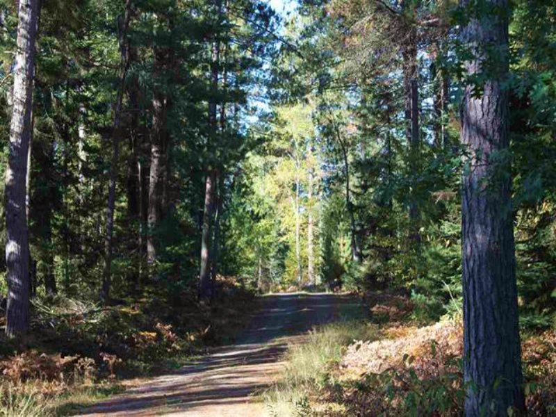 Off Baraga Plains Rd : Baraga : Baraga County : Michigan