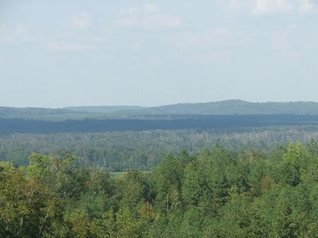 57 Acres : Marion : Perry County : Alabama