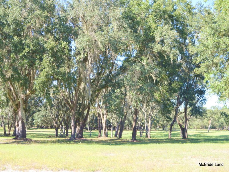 Thunder Ranch 17.55 Acres : Anthony : Marion County : Florida