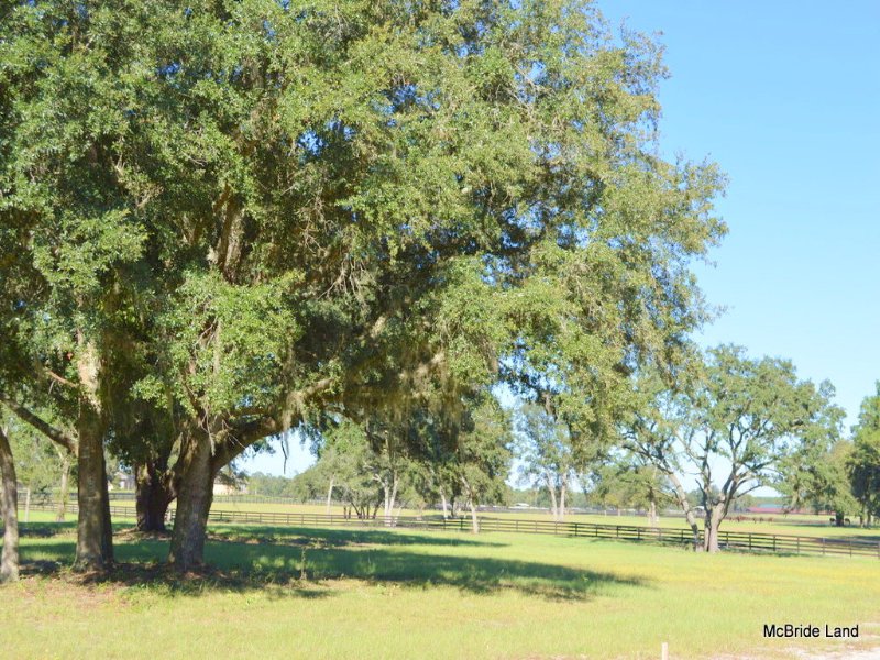 Thunder Ranch 13.98 Acres : Anthony : Marion County : Florida