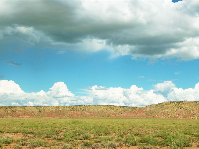 Secluded Northern AZ Ranch : Saint Johns : Apache County : Arizona