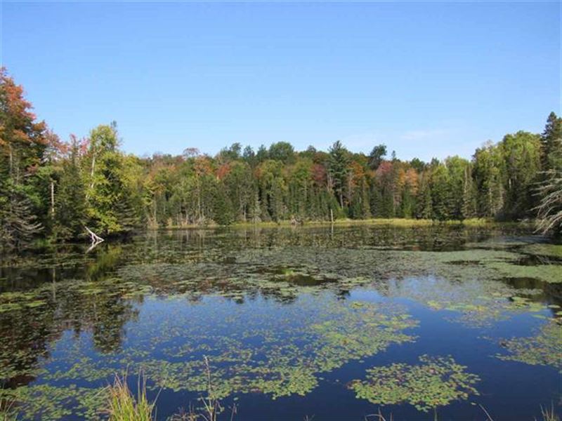 Holli Blue Rd : Michigamme : Marquette County : Michigan