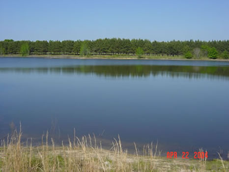 2,100 Acre Plantation : Roberta : Crawford County : Georgia